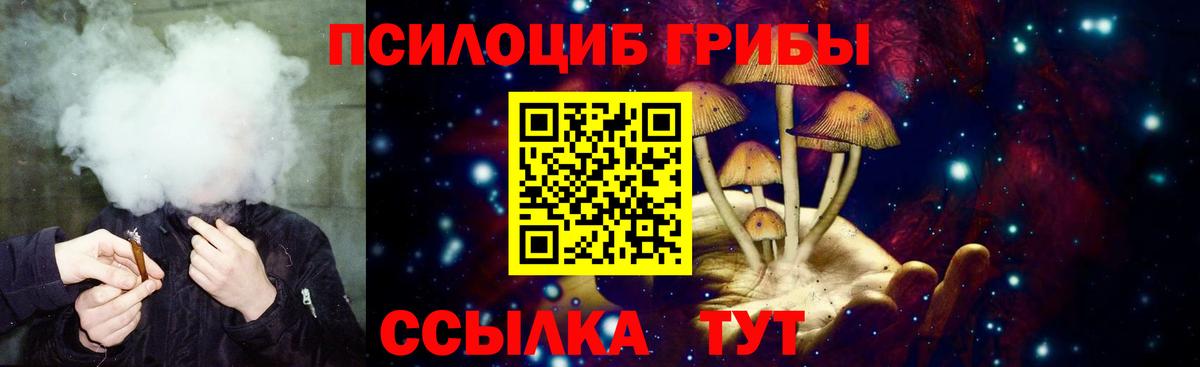 Вятские Поляны  Псилоцибиновые грибы Psilocybe  Псилоцибиновые грибы мухоморы  Вход с VPN 